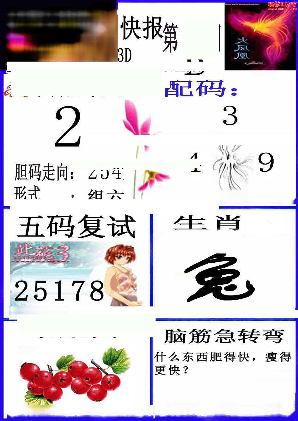 澳彩2023全年免费资料	